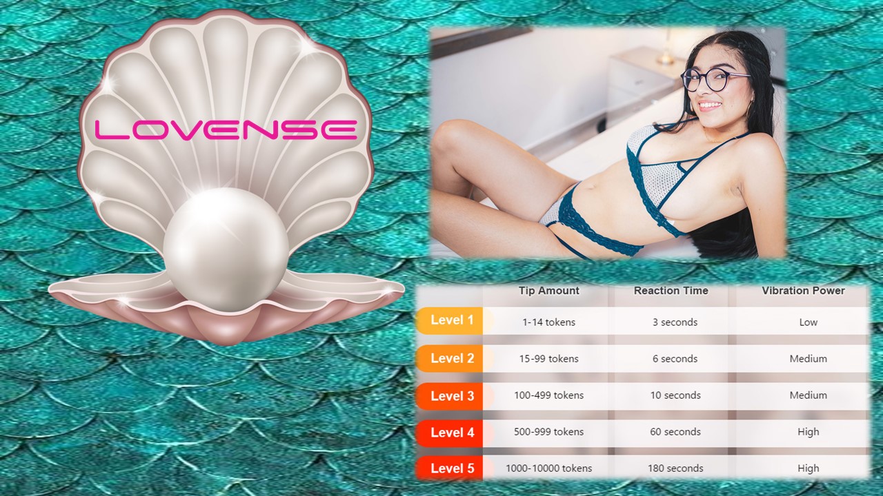 Diapositiva4