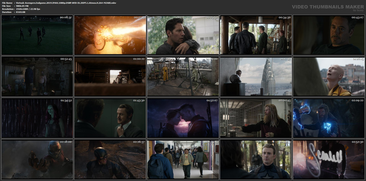 Vietsub-Avengers-Endgame-2019-IMAX-1080p-DSNP-WEB-DL-DDP5-1-Atmos-H-264-MZABI-mkv.jpg