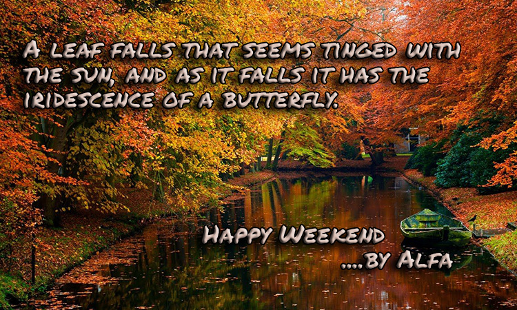 Autumn-Week-New