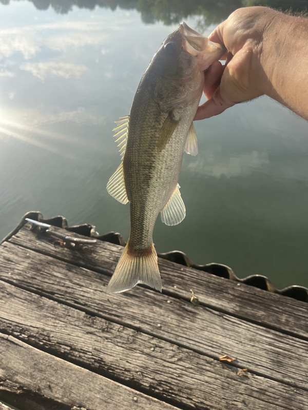 IMG-7590.jpg