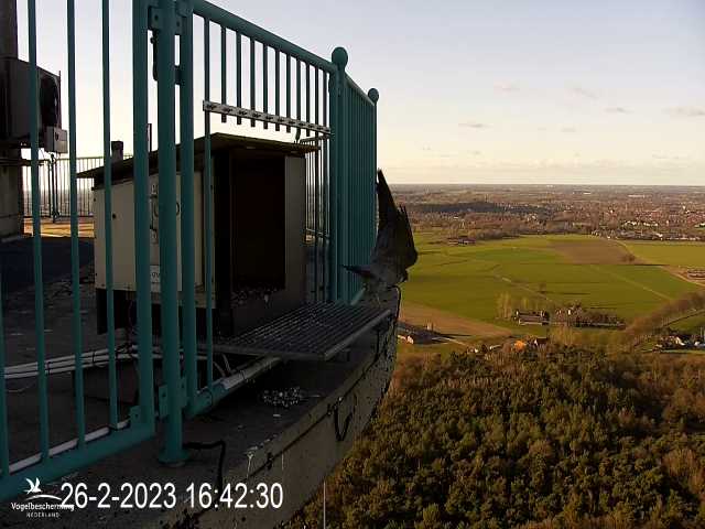 Campics © VWGGemert/BDL en Hans Natuurkanaal. - Pagina 3 7