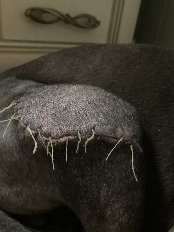 9EAC1FDD-84BE-47EA-83C6-733B6EC91BFC