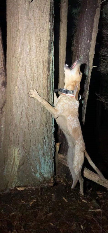 Resized_IMG_4599 (1)