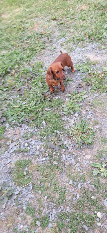 [Image: 20250506-202743.jpg]