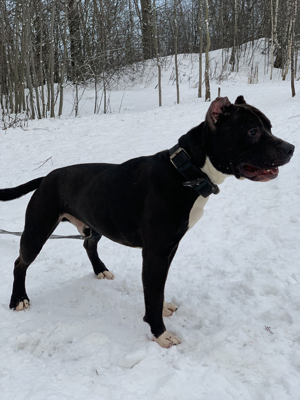 33D034D4-49E3-4213-BF69-429EB4D7C330