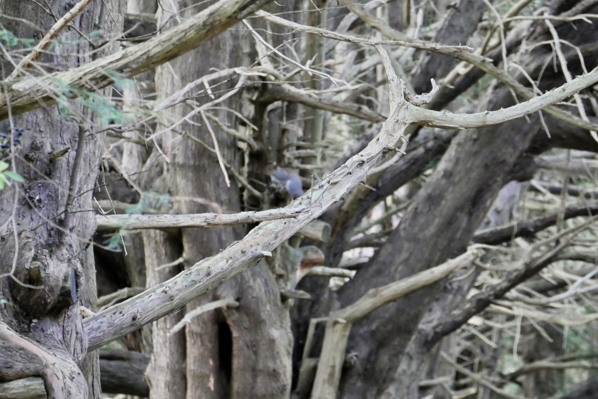 8C6FD0C0-E604-43E9-BAF4-82F0A0EAECD1