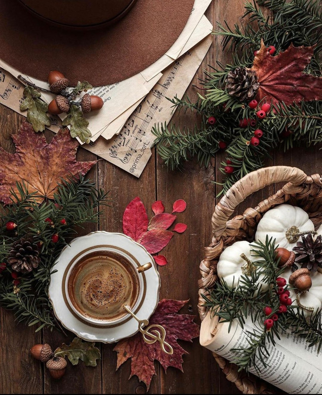 Screenshot_20231210_171308_Instagram