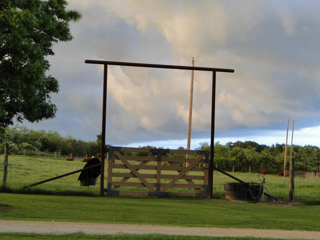 wood gate