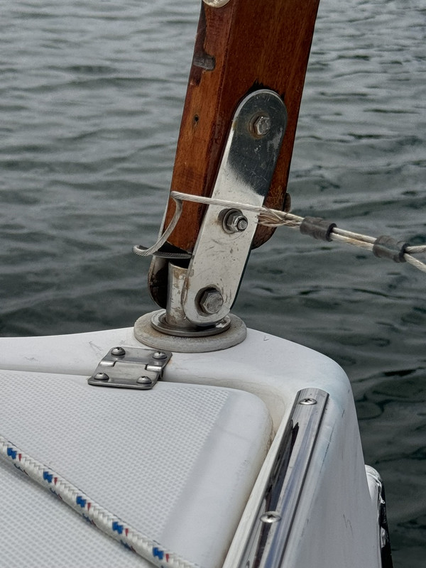 8691F3B4-0E0B-49C0-861B-638F2FCADC89_1_105_c