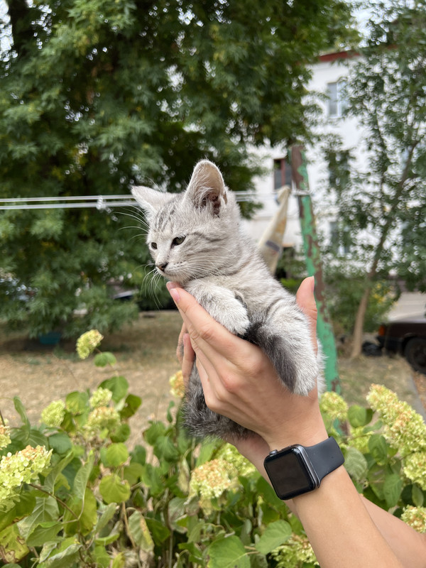 EB9A5014-480B-4731-88A0-D06FB6552E78