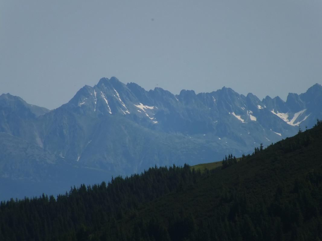2019_0630DUMBIER0016