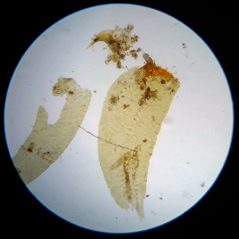 IMG 20250617 105446 HDR