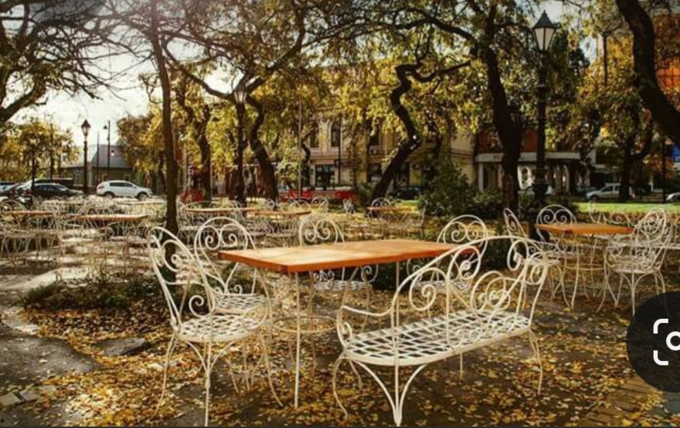 Screenshot_20231119_093734_Pinterest