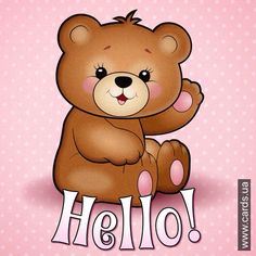 BEAR-HELLO