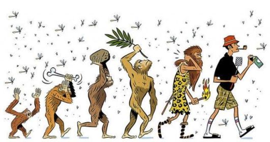[Image: thuyet-tien-hoa-the-evolutionary-perspective.jpg]