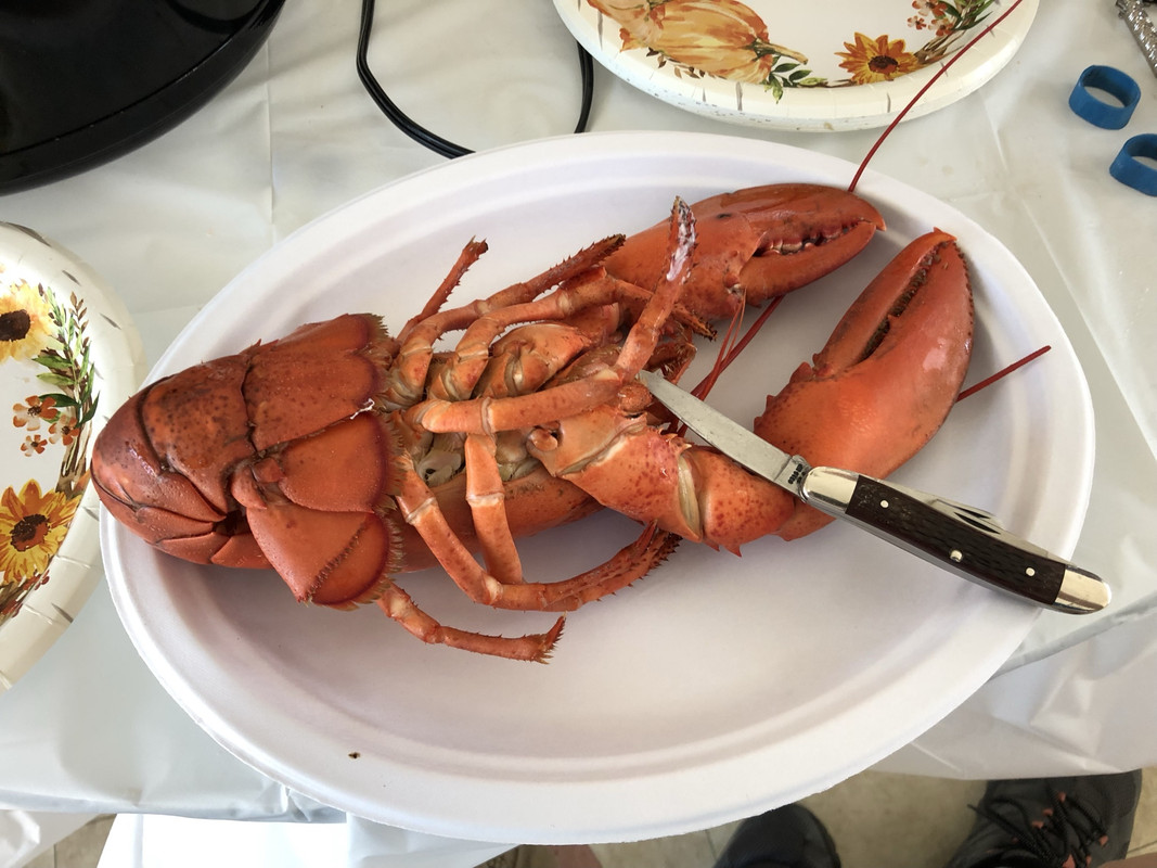 Lobster-with-Case-6318-on-9-18-21.jpg
