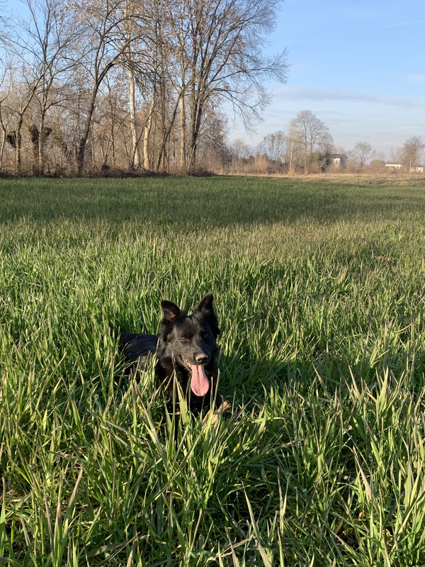 FD5ECEC9-F700-4F95-A1BF-F93BD1FD176B