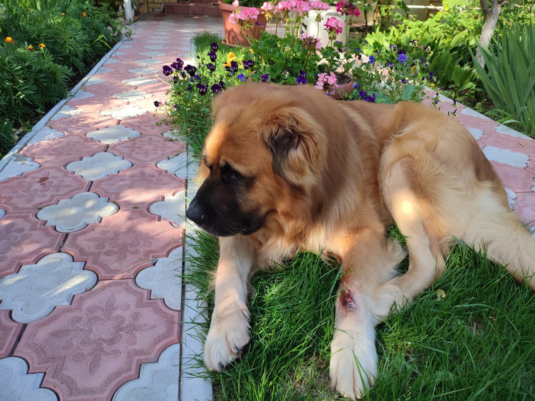 D0E885B5-CCCA-4325-8AFE-597D64F67815