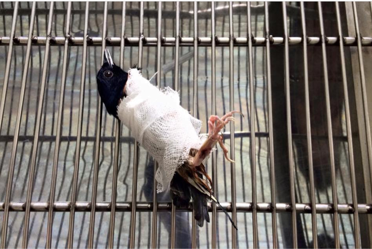 009A8CB4-E2C8-40F3-898B-A86C596F92C5