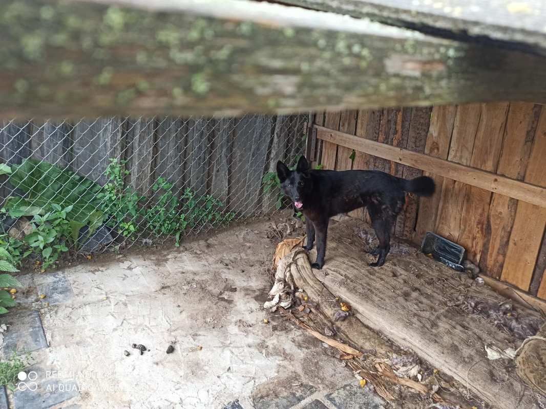 5787EB93-ACDB-44CD-A335-9FC0C2F9A685