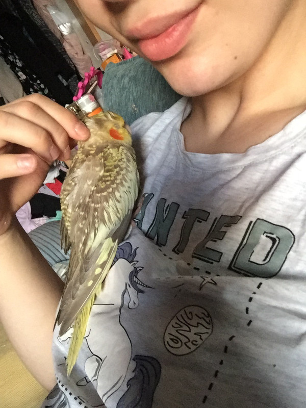 E7F3E6C6-D0E2-45A5-9222-6580A3AB6549