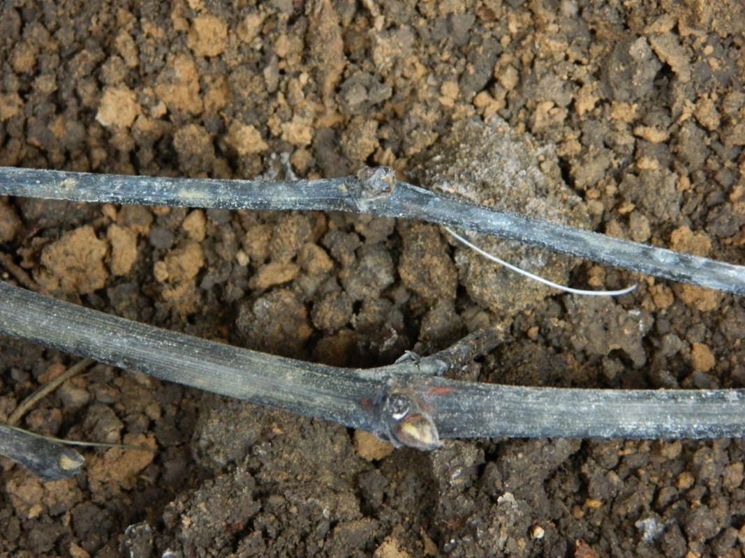 27_повреждение