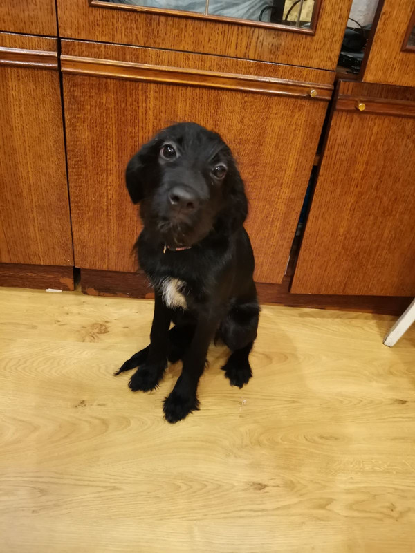 E873F852-59C0-46F6-B0AE-13796D293180