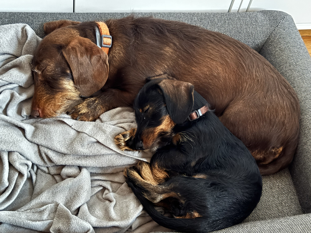 [Image: IMG-5954.jpg]