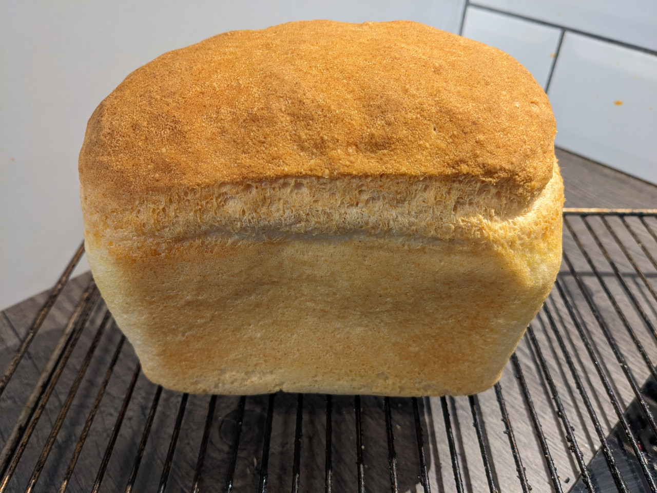 gluten-free.jpg