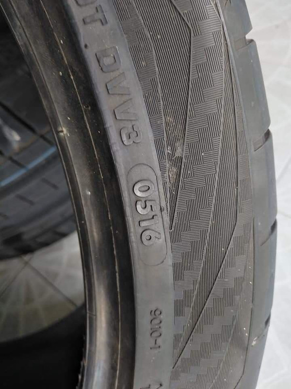 55632773_2258520654363363_5658760583760052224_n