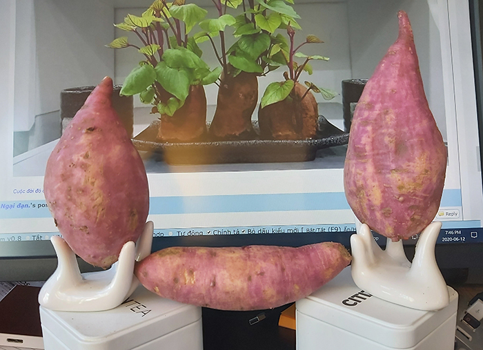 [Image: 20200612-194558.jpg]