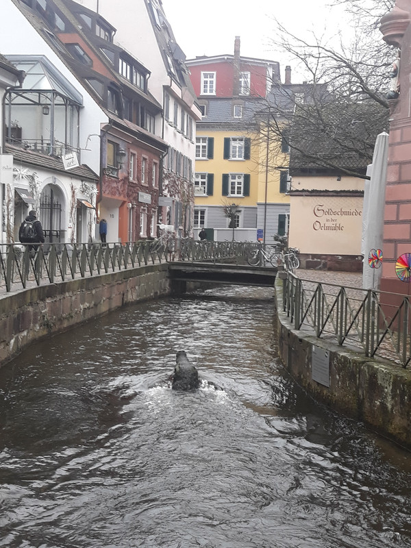 Friburgo: Visita, Hotel, Transporte -Selva Negra, Alemania - Forum Germany, Austria, Switzerland