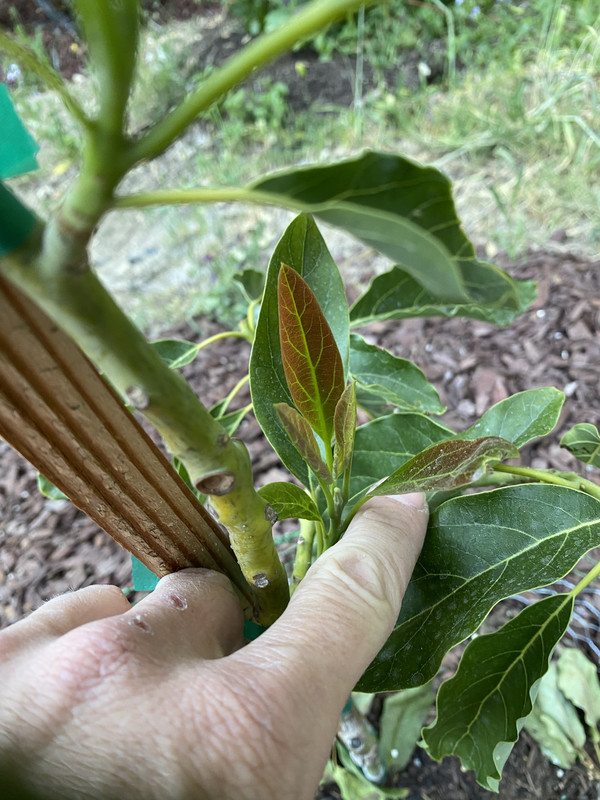 446663CA-C294-4860-A009-458B9FBAB78D