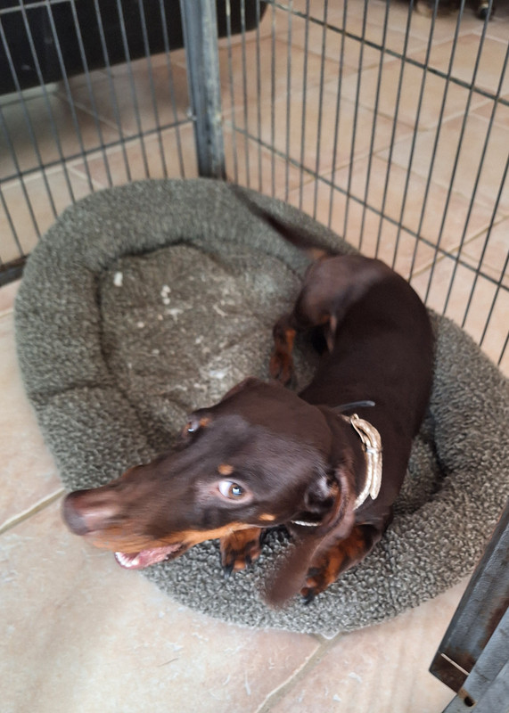 [Image: 20240320-104726.jpg]