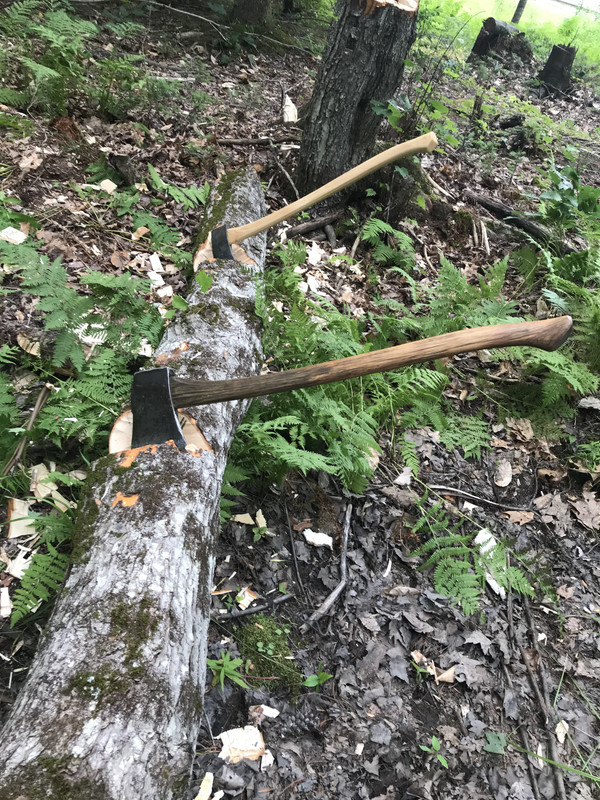 58E631B5-B60C-4573-9EA9-895681F864AE