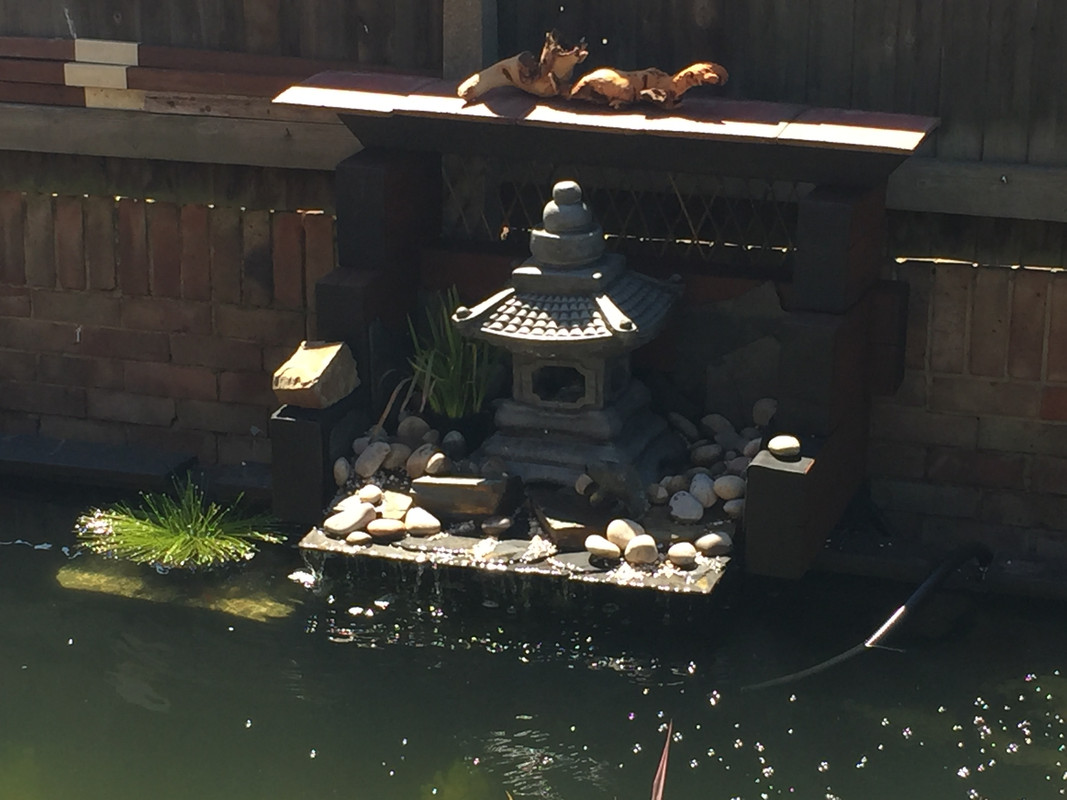 609E75D3-0C4C-49EC-A5AC-11892BFBAB7C