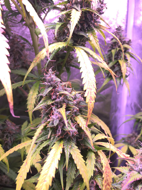 1FEEB858-6A5A-4A2A-9C47-C0808E1589E7