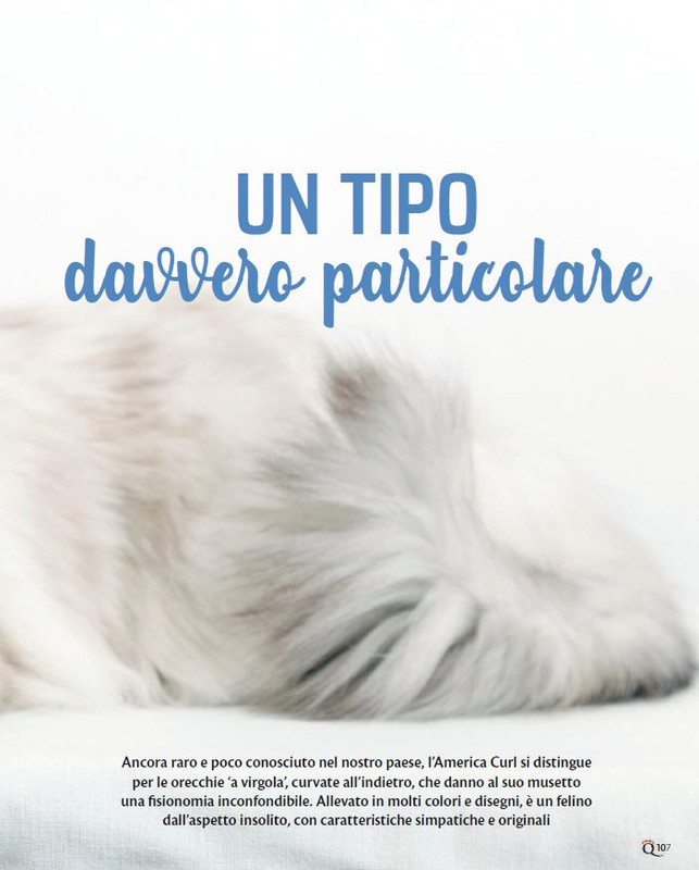 QuattroZampe Giu 2023 (10)