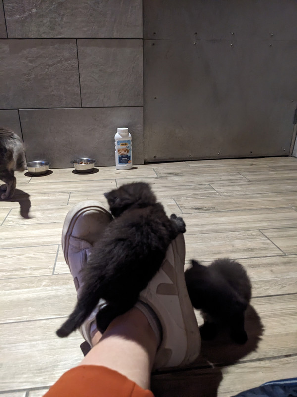 PXL_20230816_193412820