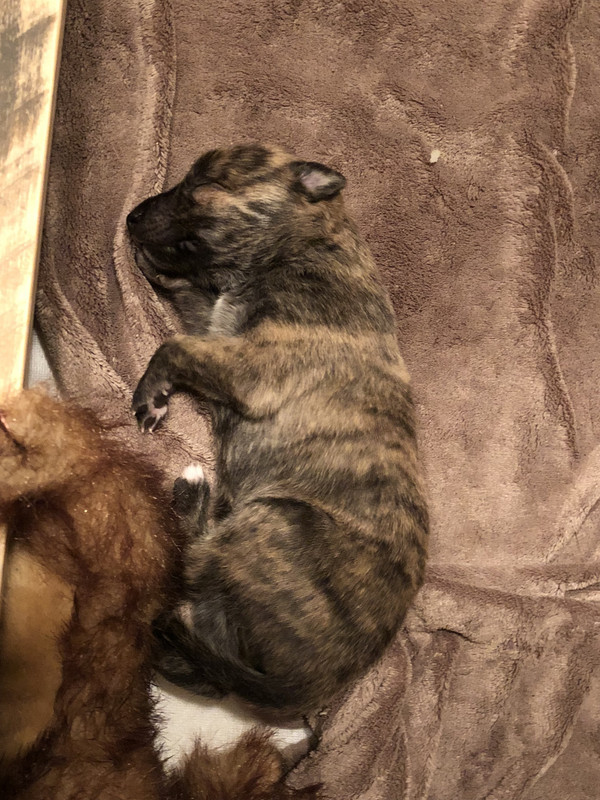 8C77D778-117F-4AA4-84DB-E97CDA4DA009