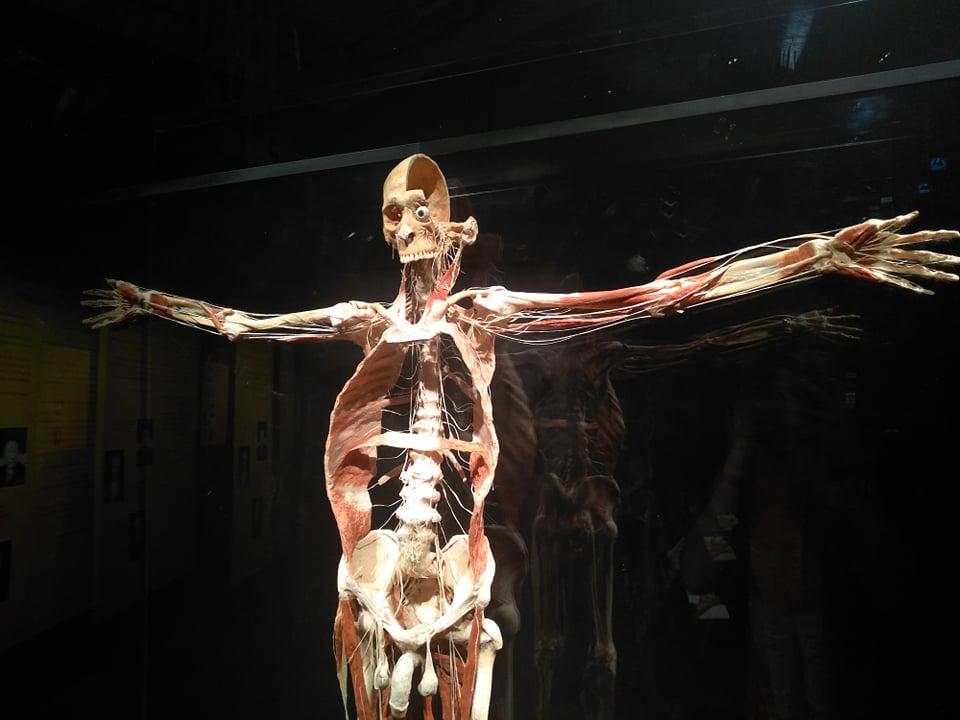 72812749_2130754650566818_6066572513108819968_n