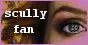 dcully-fan-button