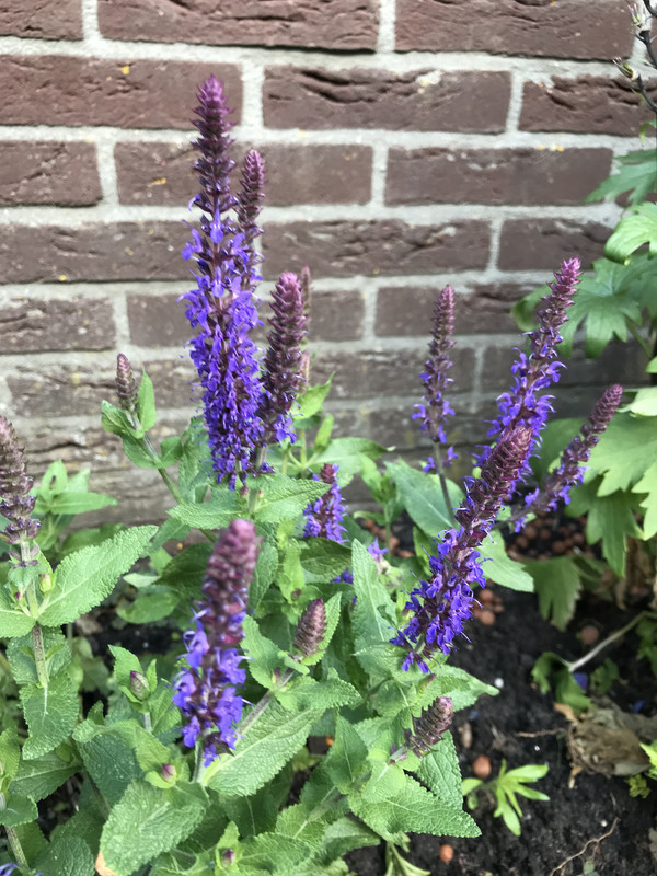 624E64DA-2962-4736-B822-6FC87B3DA53A