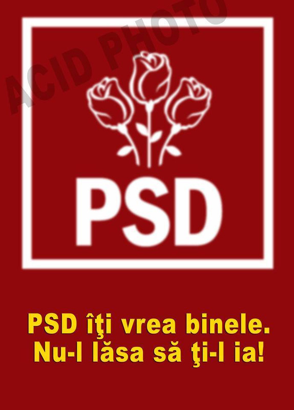 16708207_1236545986399623_8746306938450576515_n