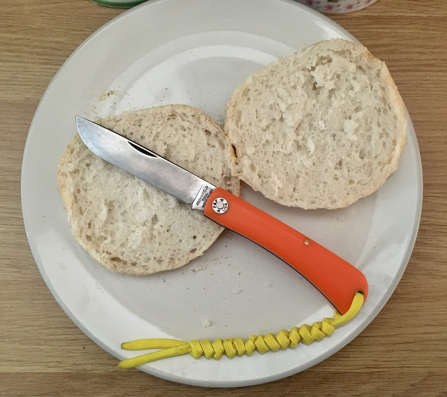 540DD013-07EC-4078-8F4E-AFCC5F8350F5