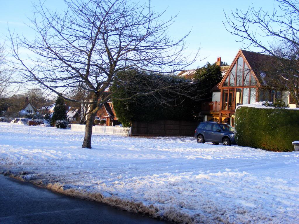 DSCF0173.jpg