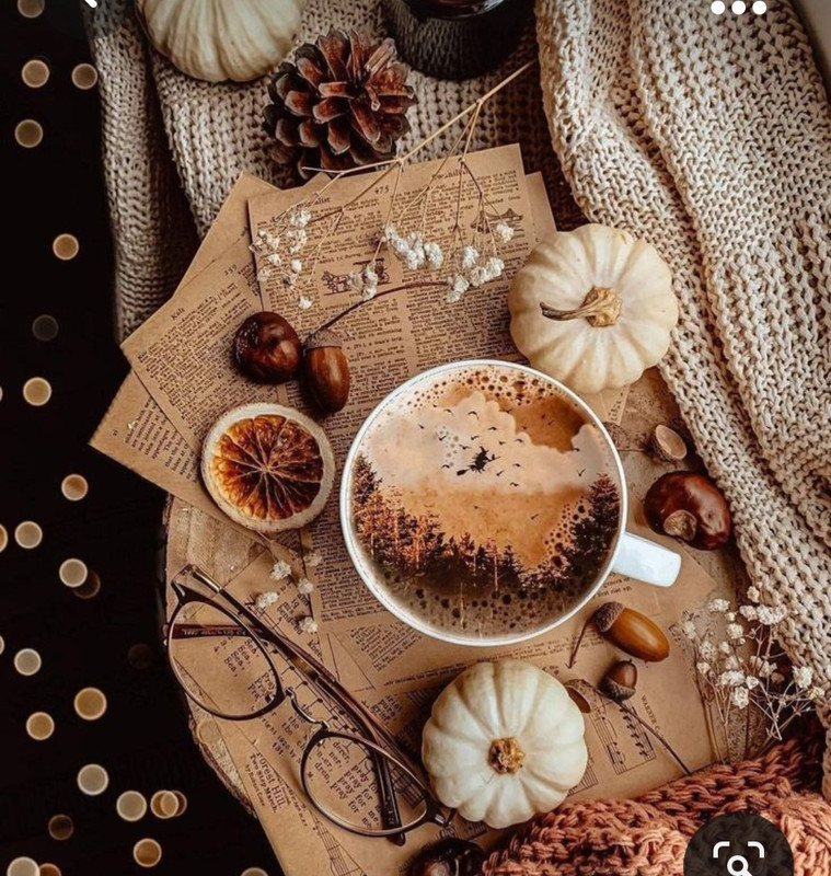 Screenshot_20231015_215057_Pinterest