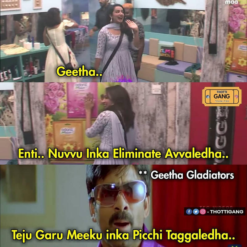 teamtgu_42003643_2275732732441262_473860