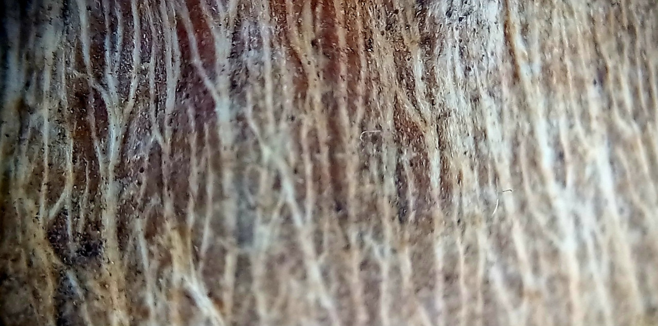 20250120-025133
