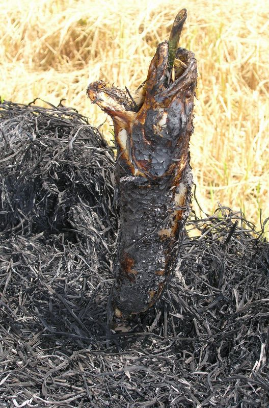 [Image: untitef5led.png]